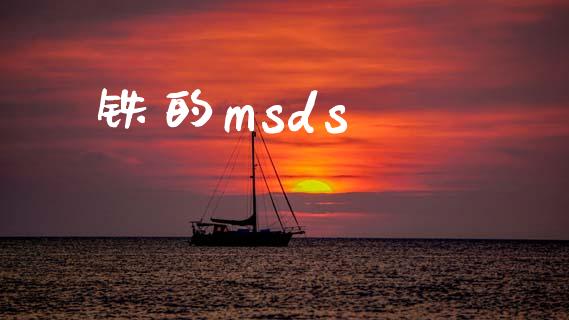 铁的msds (https://huagong.lansai.wang/) msds 第1张