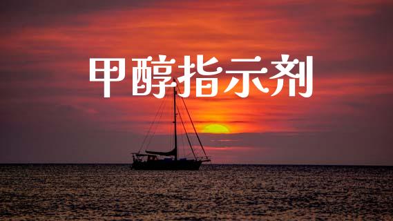 甲醇指示剂 (https://huagong.lansai.wang/) 甲醇 第1张