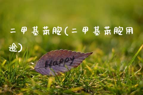二甲基苯胺(二甲基苯胺用途) (https://huagong.lansai.wang/) 甲基化工 第1张