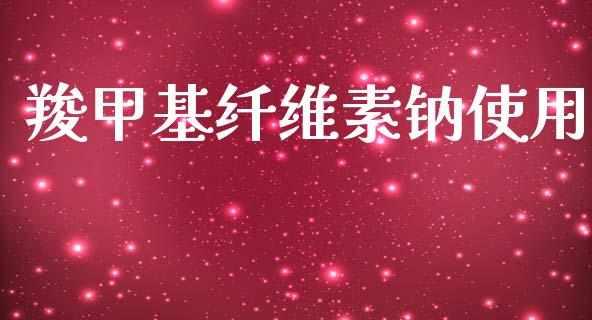 羧甲基纤维素钠使用 (https://huagong.lansai.wang/) 甲基化工 第1张