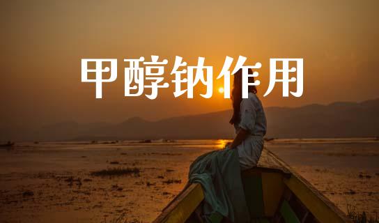 甲醇钠作用 甲醇 第1张-化工行情,甲基化工,甲醇msds-起点化工网 甲醇钠作用 (https://huagong.lansai.wang/) 甲醇 第1张