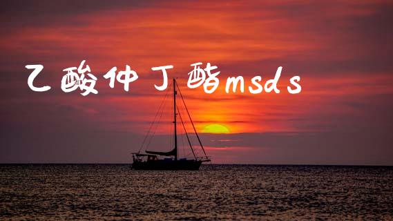 乙酸仲丁酯msds (https://huagong.lansai.wang/) msds 第1张