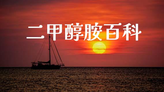 二甲醇胺百科 (https://huagong.lansai.wang/) 甲醇 第1张