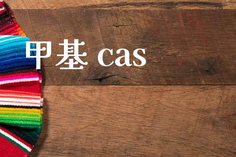 甲基 cas (https://huagong.lansai.wang/) 甲基化工 第1张