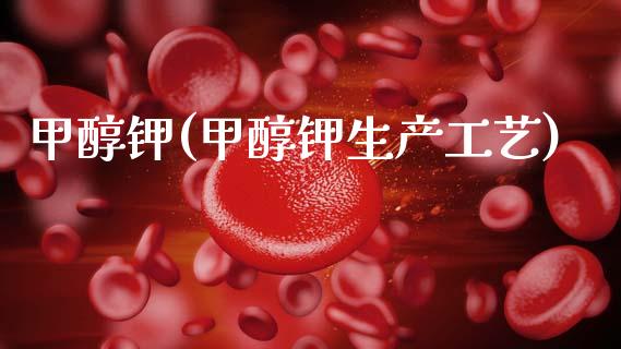 甲醇钾(甲醇钾生产工艺) (https://huagong.lansai.wang/) 甲醇 第1张