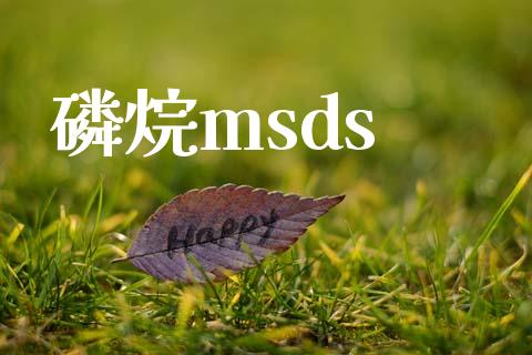 磷烷msds (https://huagong.lansai.wang/) msds 第1张