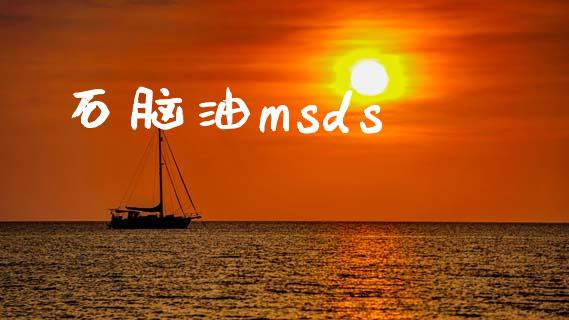 石脑油msds (https://huagong.lansai.wang/) msds 第1张