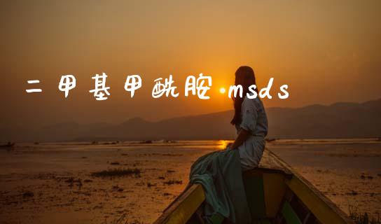 二甲基甲酰胺 msds (https://huagong.lansai.wang/) msds 第1张