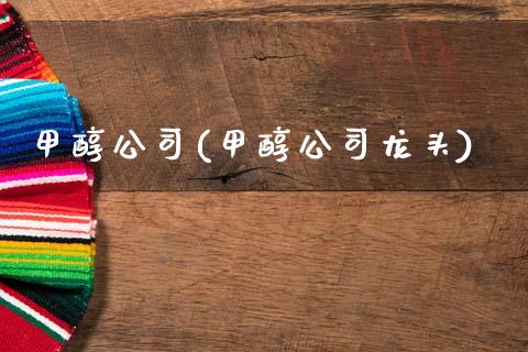 甲醇公司(甲醇公司龙头) 甲醇 第1张-化工行情,甲基化工,甲醇msds-起点化工网 甲醇公司(甲醇公司龙头) (https://huagong.lansai.wang/) 甲醇 第1张