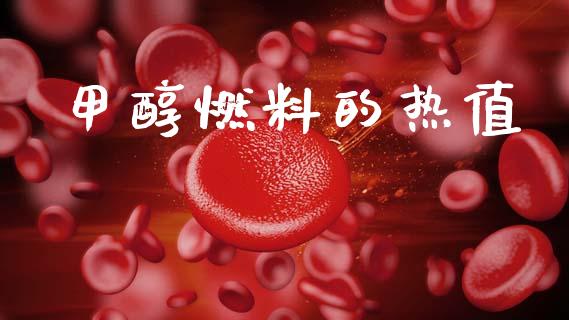 甲醇燃料的热值 (https://huagong.lansai.wang/) 甲醇 第1张