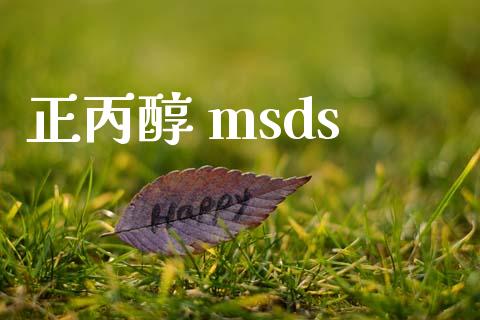 正丙醇 msds (https://huagong.lansai.wang/) msds 第1张