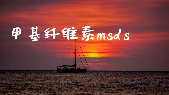 甲基纤维素msds (https://huagong.lansai.wang/) 甲基化工 第1张