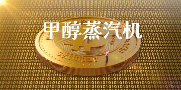 甲醇蒸汽机 (https://huagong.lansai.wang/) 甲醇 第1张