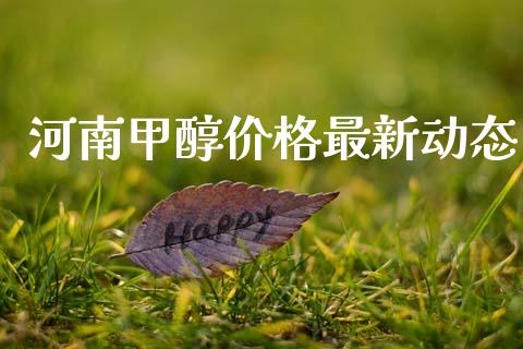 河南甲醇价格最新动态 甲醇 第1张-化工行情,甲基化工,甲醇msds-起点化工网 河南甲醇价格最新动态 (https://huagong.lansai.wang/) 甲醇 第1张