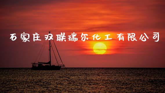 石家庄双联瑞尔化工有限公司 (https://huagong.lansai.wang/) 化工行情 第1张
