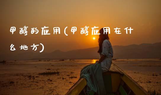 甲醇的应用(甲醇应用在什么地方) (https://huagong.lansai.wang/) 甲醇 第1张