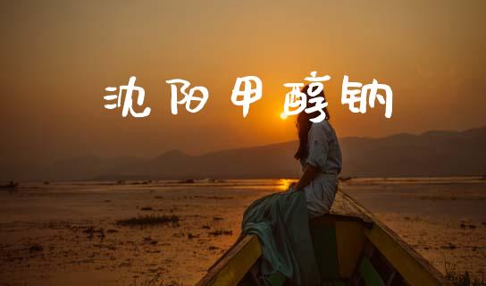 沈阳甲醇钠 (https://huagong.lansai.wang/) 甲醇 第1张