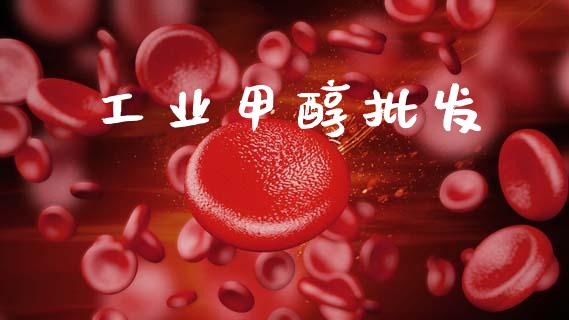 工业甲醇批发 (https://huagong.lansai.wang/) 甲醇 第1张