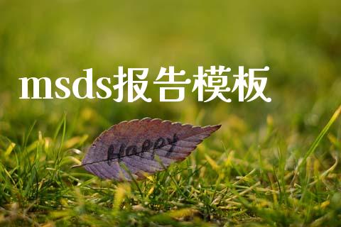 msds报告模板 (https://huagong.lansai.wang/) msds 第1张