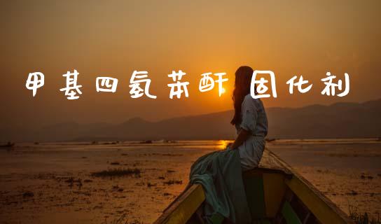 甲基四氢苯酐 固化剂 (https://huagong.lansai.wang/) 甲基化工 第1张