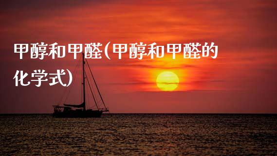 甲醇和甲醛(甲醇和甲醛的化学式) (https://huagong.lansai.wang/) 甲醇 第1张