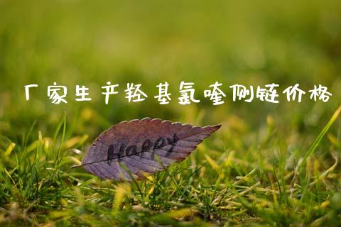 厂家生产羟基氯喹侧链价格 (https://huagong.lansai.wang/) 化工价格 第1张