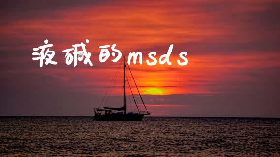 液碱的msds (https://huagong.lansai.wang/) msds 第1张