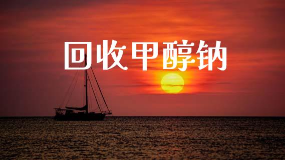 回收甲醇钠 (https://huagong.lansai.wang/) 甲醇 第1张