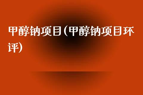 甲醇钠项目(甲醇钠项目环评) (https://huagong.lansai.wang/) 甲醇 第1张