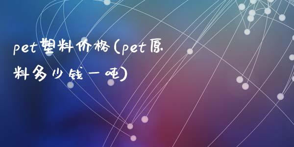 pet塑料价格(pet原料多少钱一吨) (https://huagong.lansai.wang/) 化工价格 第1张