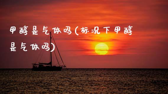 甲醇是气体吗(标况下甲醇是气体吗) (https://huagong.lansai.wang/) 甲醇 第1张