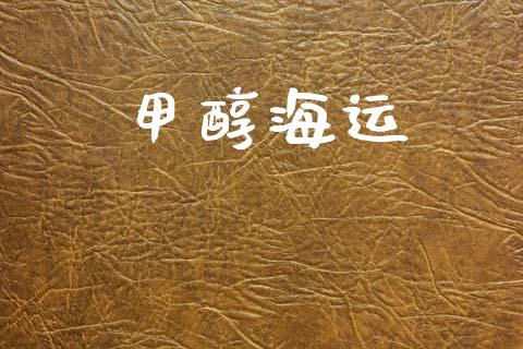 甲醇海运 (https://huagong.lansai.wang/) 甲醇 第1张