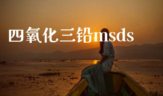 四氧化三铅msds (https://huagong.lansai.wang/) msds 第1张