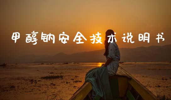 甲醇钠安全技术说明书 (https://huagong.lansai.wang/) 甲醇 第1张