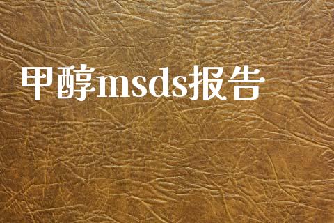 甲醇msds报告 (https://huagong.lansai.wang/) msds 第1张