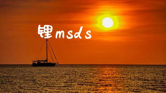 锂msds (https://huagong.lansai.wang/) msds 第1张