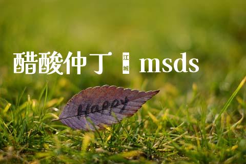 醋酸仲丁酯msds (https://huagong.lansai.wang/) msds 第1张