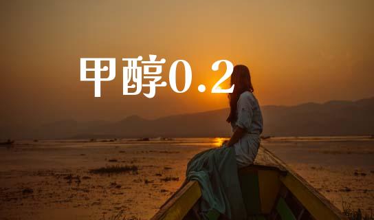 甲醇0.2 (https://huagong.lansai.wang/) 甲醇 第1张