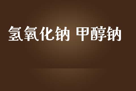 氢氧化钠 甲醇钠 (https://huagong.lansai.wang/) 甲醇 第1张
