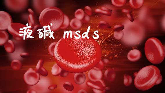 液碱 msds (https://huagong.lansai.wang/) msds 第1张