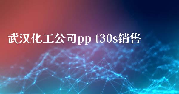 武汉化工公司pp t30s销售 (https://huagong.lansai.wang/) 化工行情 第1张