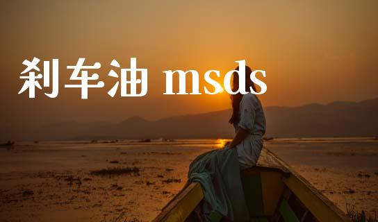 刹车油 msds (https://huagong.lansai.wang/) msds 第1张