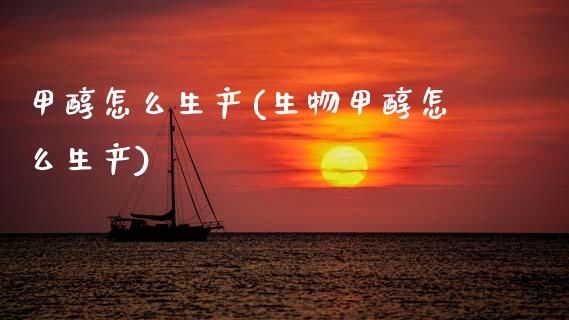 甲醇怎么生产(生物甲醇怎么生产) (https://huagong.lansai.wang/) 甲醇 第1张