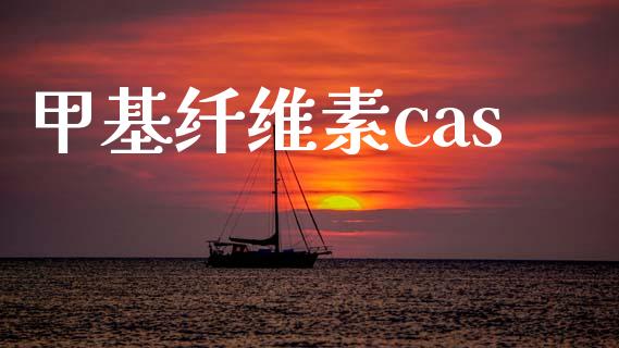 甲基纤维素cas (https://huagong.lansai.wang/) 甲基化工 第1张