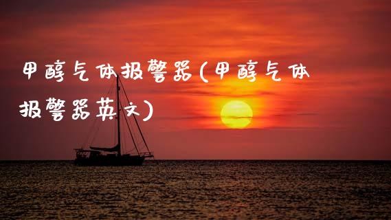 甲醇气体报警器(甲醇气体报警器英文) (https://huagong.lansai.wang/) 甲醇 第1张