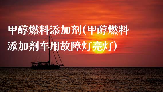 甲醇燃料添加剂(甲醇燃料添加剂车用故障灯亮灯) (https://huagong.lansai.wang/) 甲醇 第1张