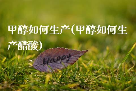 甲醇如何生产(甲醇如何生产醋酸) (https://huagong.lansai.wang/) 甲醇 第1张