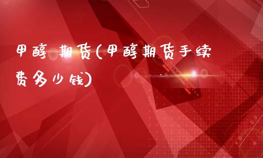 甲醇 期货(甲醇期货手续费多少钱) (https://huagong.lansai.wang/) 甲醇 第1张