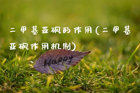 二甲基亚砜的作用(二甲基亚砜作用机制) (https://huagong.lansai.wang/) 甲基化工 第1张