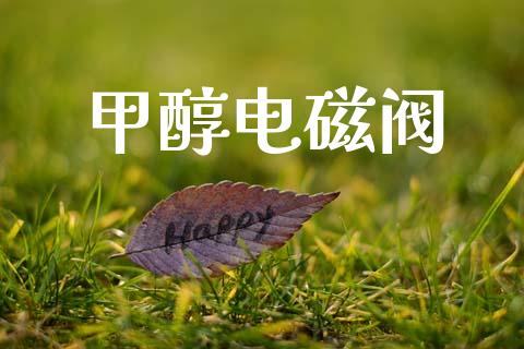 甲醇电磁阀 甲醇 第1张-化工行情,甲基化工,甲醇msds-起点化工网 甲醇电磁阀 (https://huagong.lansai.wang/) 甲醇 第1张